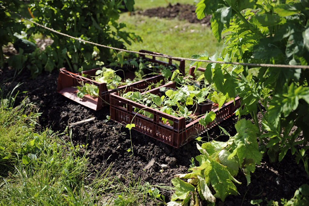 ENSP-120525_5524-SDuffard