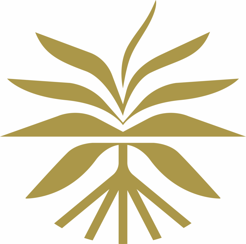ESJ_LOGO_CMJN (OR VERT) (1)