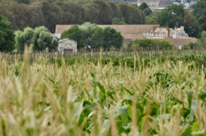 DSC_0202 Les Jardins de Gally
