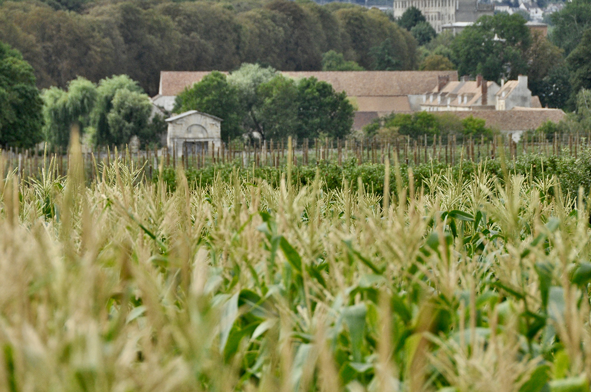 Les Jardins de Gally