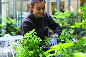 Les Jardins de Gally