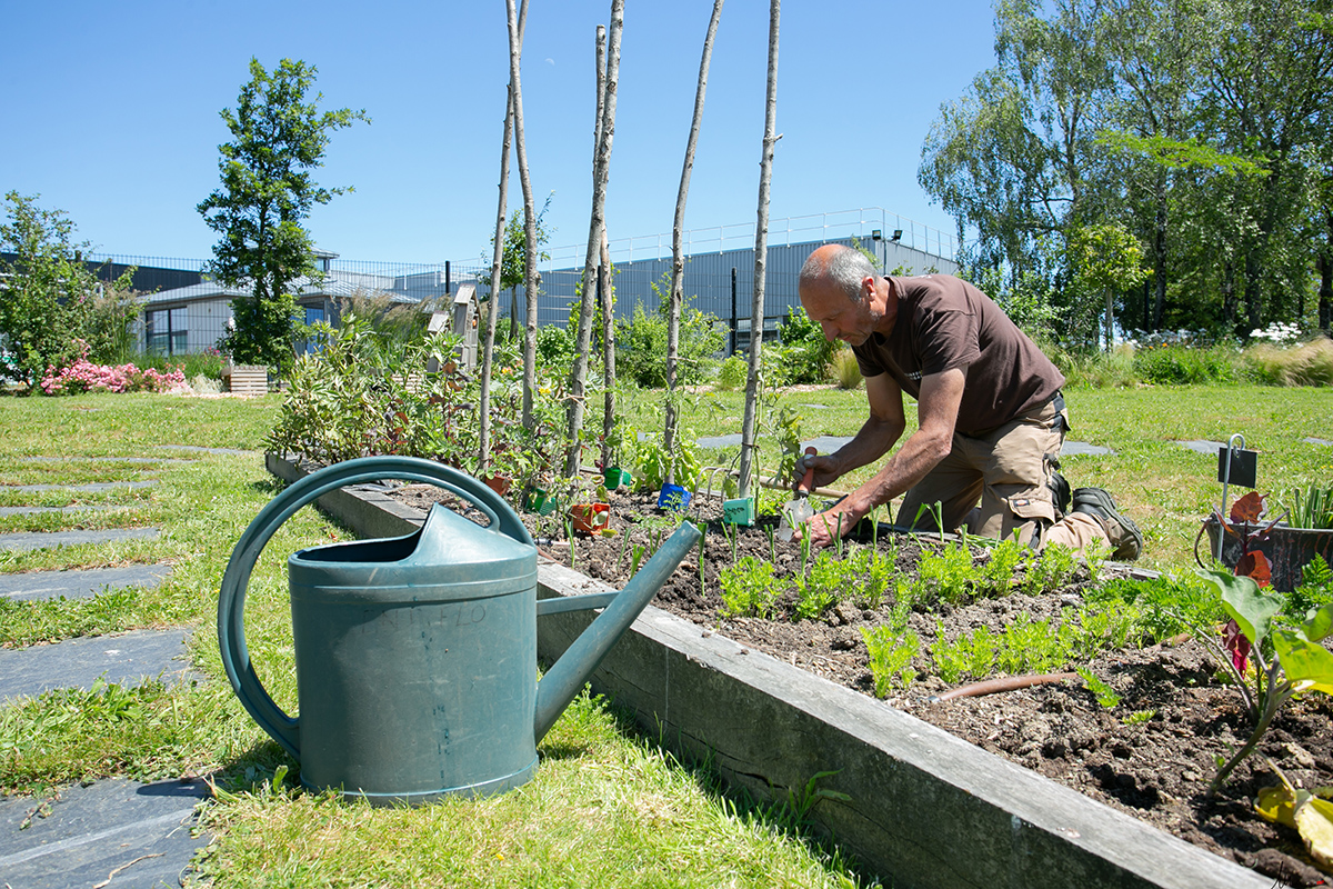 Les Jardins de Gally - réalisation extérieure
