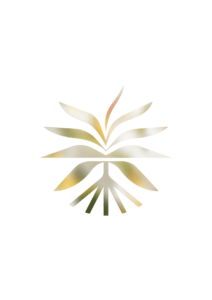 02_Plan de travail 1